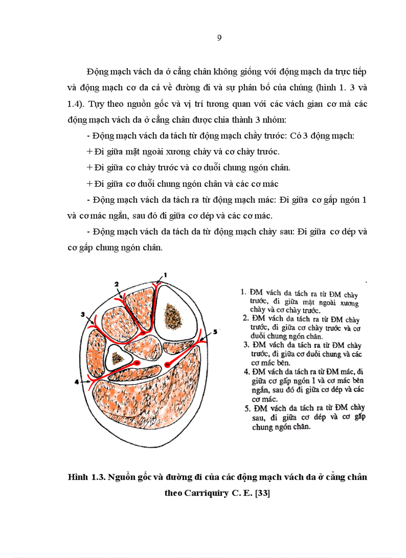 image for page Đánh giá kết quả điều trị khuyết hổng phần mềm vùng gót, cổ chân bằng vạt da-cân hiển ngoài cuống ngoại vi tại bệnh viện Việt Đức