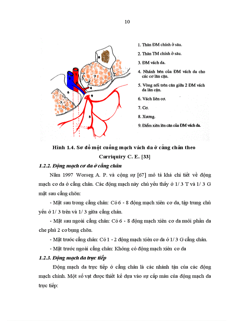 image for page Đánh giá kết quả điều trị khuyết hổng phần mềm vùng gót, cổ chân bằng vạt da-cân hiển ngoài cuống ngoại vi tại bệnh viện Việt Đức