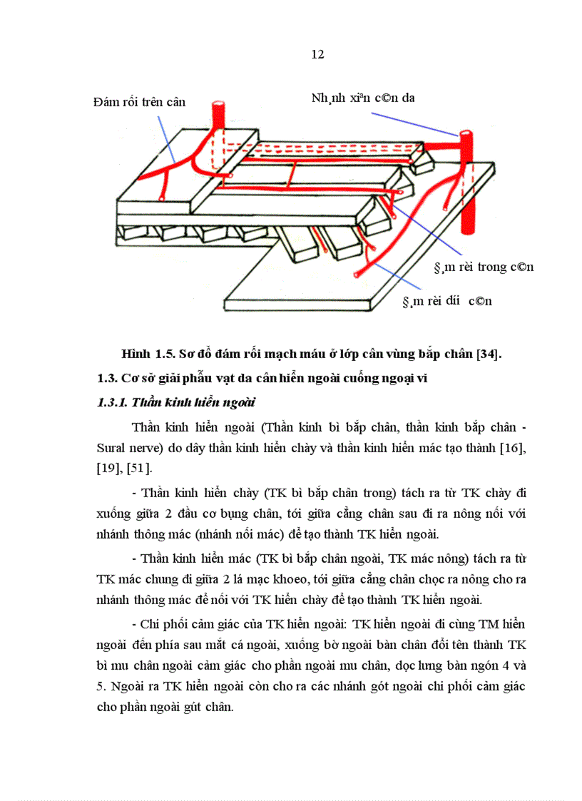 image for page Đánh giá kết quả điều trị khuyết hổng phần mềm vùng gót, cổ chân bằng vạt da-cân hiển ngoài cuống ngoại vi tại bệnh viện Việt Đức