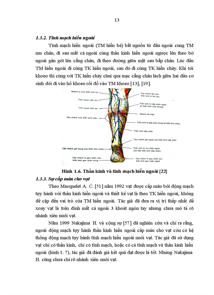 image for page Đánh giá kết quả điều trị khuyết hổng phần mềm vùng gót, cổ chân bằng vạt da-cân hiển ngoài cuống ngoại vi tại bệnh viện Việt Đức