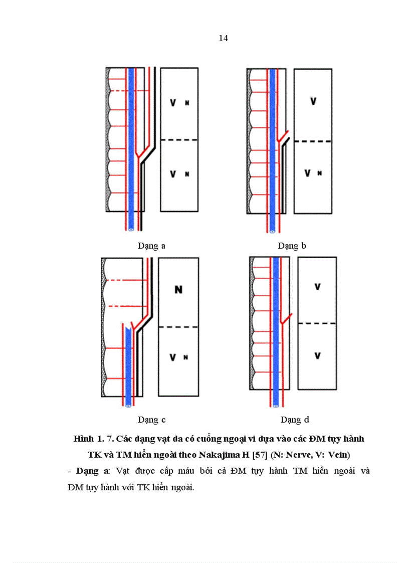 image for page Đánh giá kết quả điều trị khuyết hổng phần mềm vùng gót, cổ chân bằng vạt da-cân hiển ngoài cuống ngoại vi tại bệnh viện Việt Đức