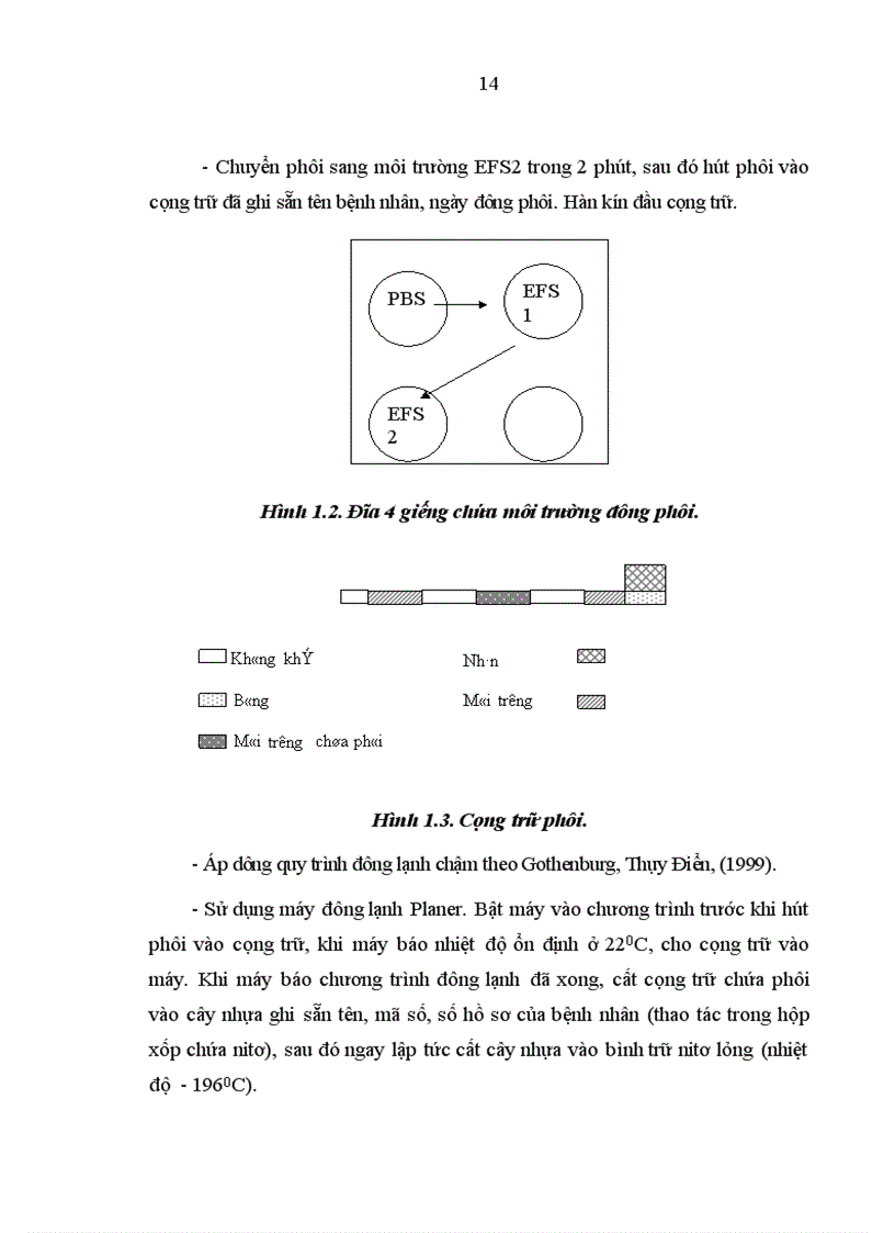 image for page Đánh giá hiệu quả của phương pháp hỗ trợ phôi thoát màng trong chuyển phôi đông lạnh tại bệnh viện Phụ sản Trung ương