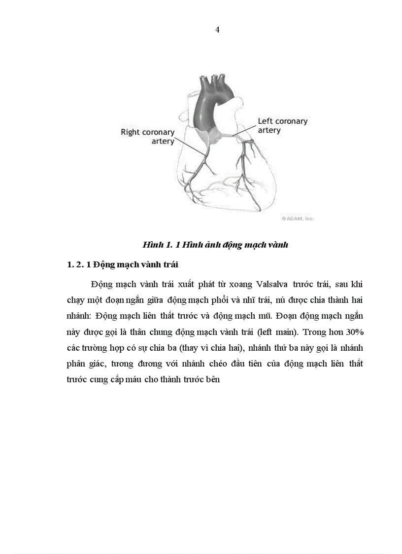 image for page Nghiên cứu hiệu quả của phương pháp can thiệp động mạch vành qua da trong nhồi máu cơ tim cấp