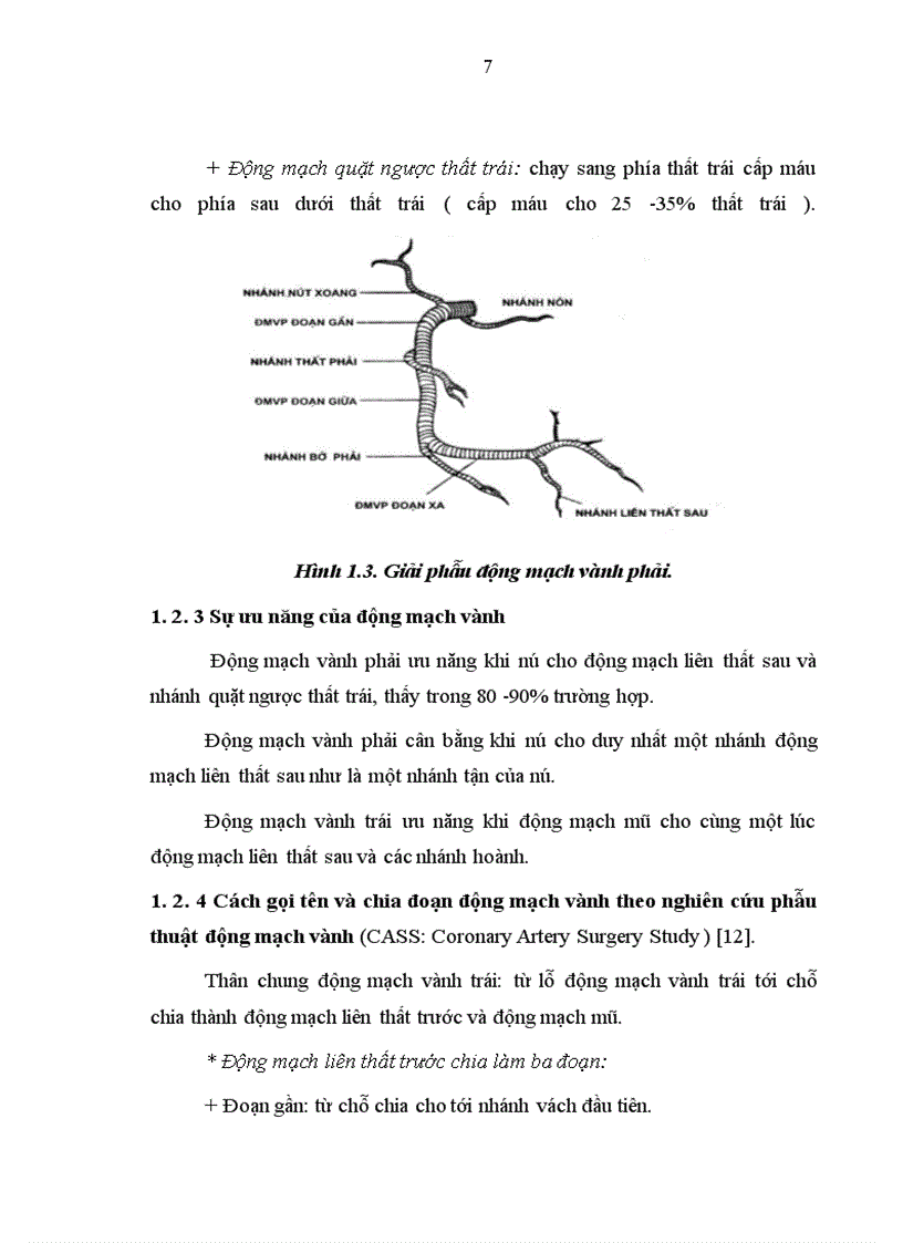 image for page Nghiên cứu hiệu quả của phương pháp can thiệp động mạch vành qua da trong nhồi máu cơ tim cấp