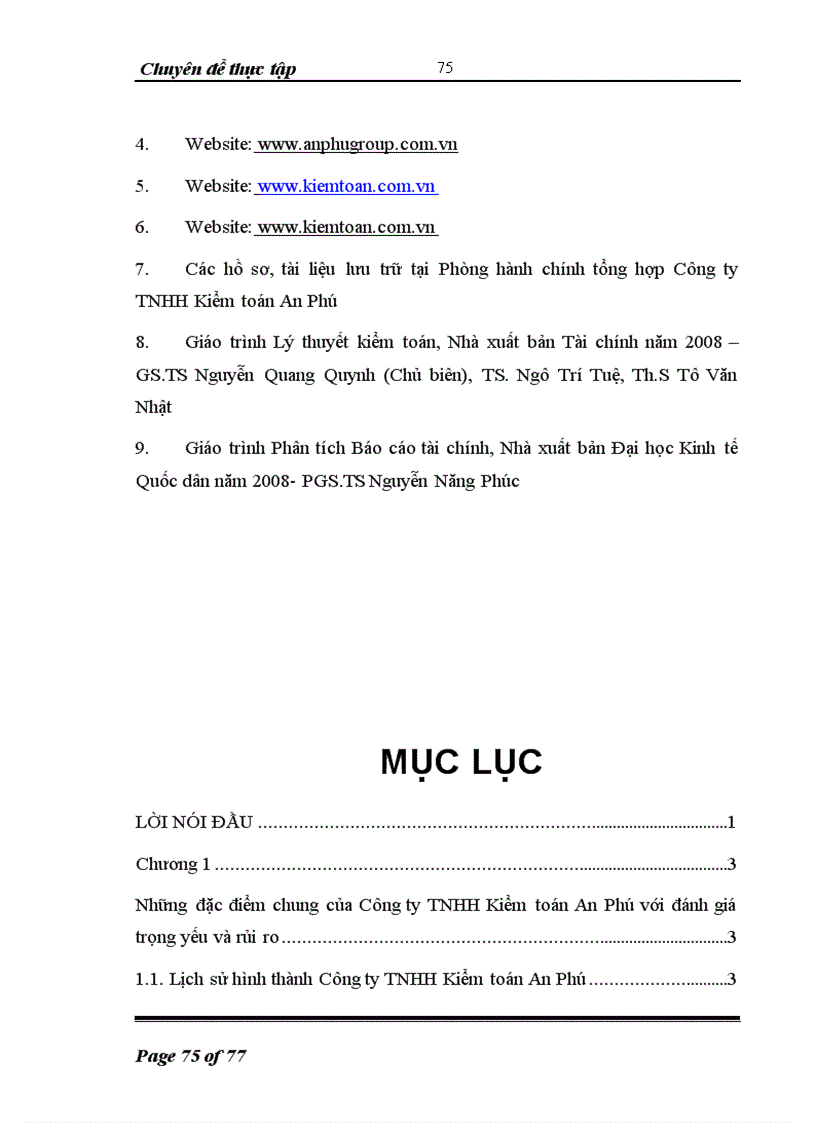 image for page Tìm hiểu thực trạng đánh giá trọng yếu và rủi ro kiểm toán do công ty TNHH kiểm toán An Phú thực hiện
