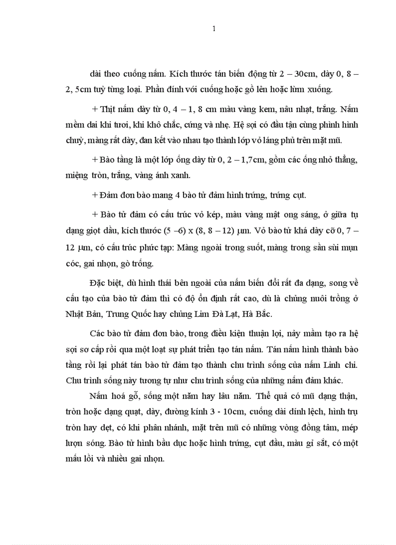 image for page Nấm Linh chi và ứng dụng của Linh chi trong Y học