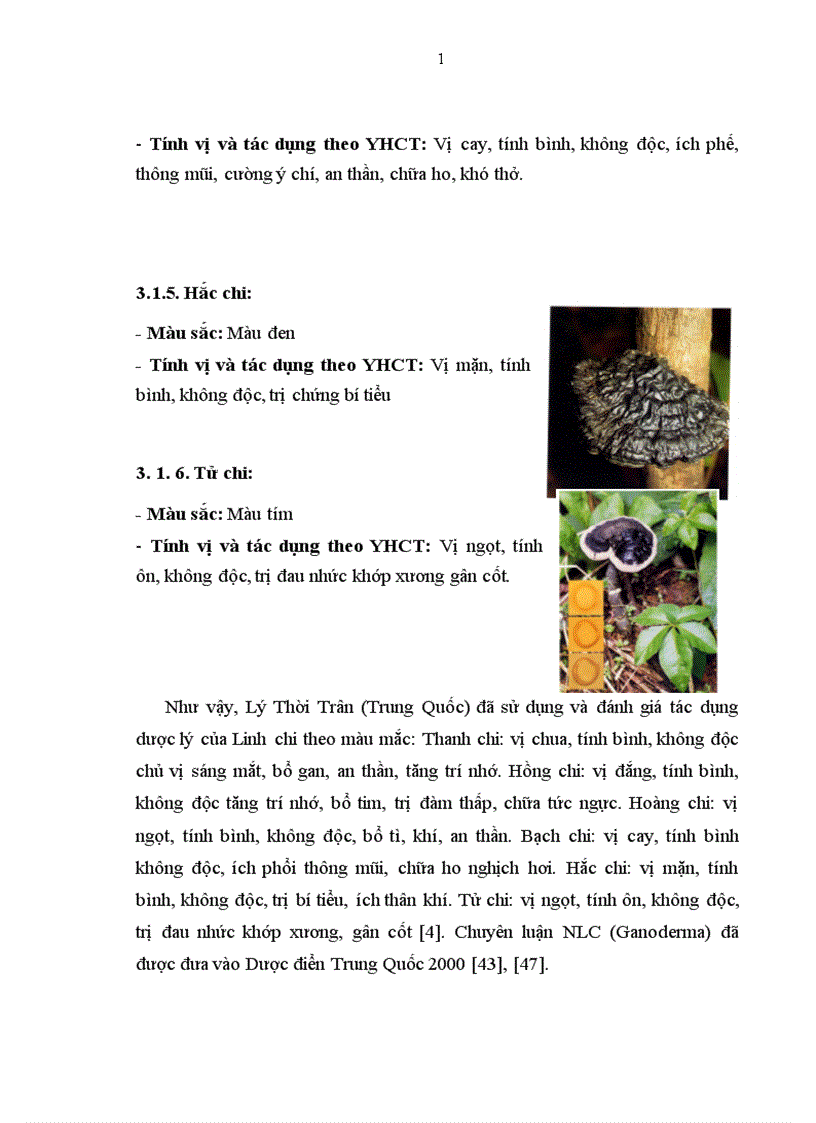 image for page Nấm Linh chi và ứng dụng của Linh chi trong Y học