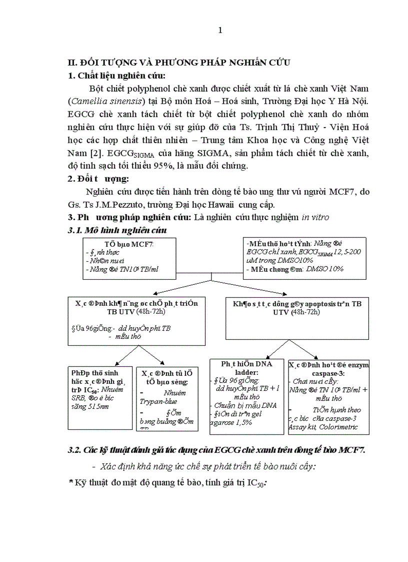 image for page Đánh giá khả năng ức chế sự phát triển dòng tế bào và khảo sát tác dụng của EGCG chè xanh gây chết tế bào theo chương trình (apoptosis) trên dòng tế bào ung thư vú