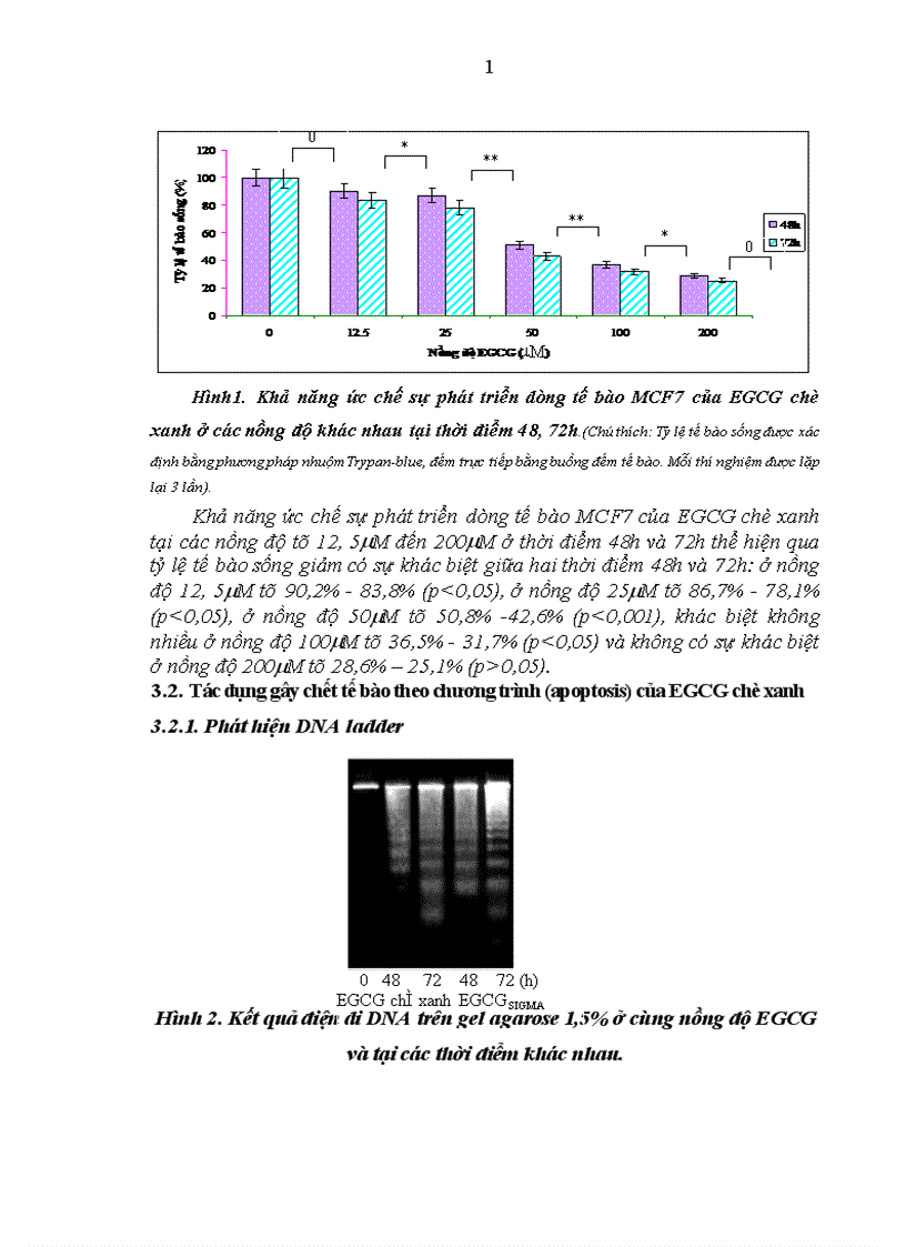 image for page Đánh giá khả năng ức chế sự phát triển dòng tế bào và khảo sát tác dụng của EGCG chè xanh gây chết tế bào theo chương trình (apoptosis) trên dòng tế bào ung thư vú