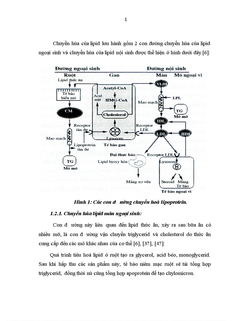 image for page Nghiên cứu tác dụng của viên nén