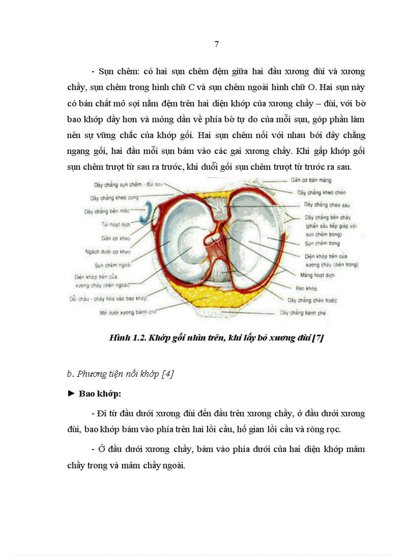 image for page Đánh giá kết quả phẫu thuật nội soi điều trị hạn chế vận động khớp gối sau chấn thương