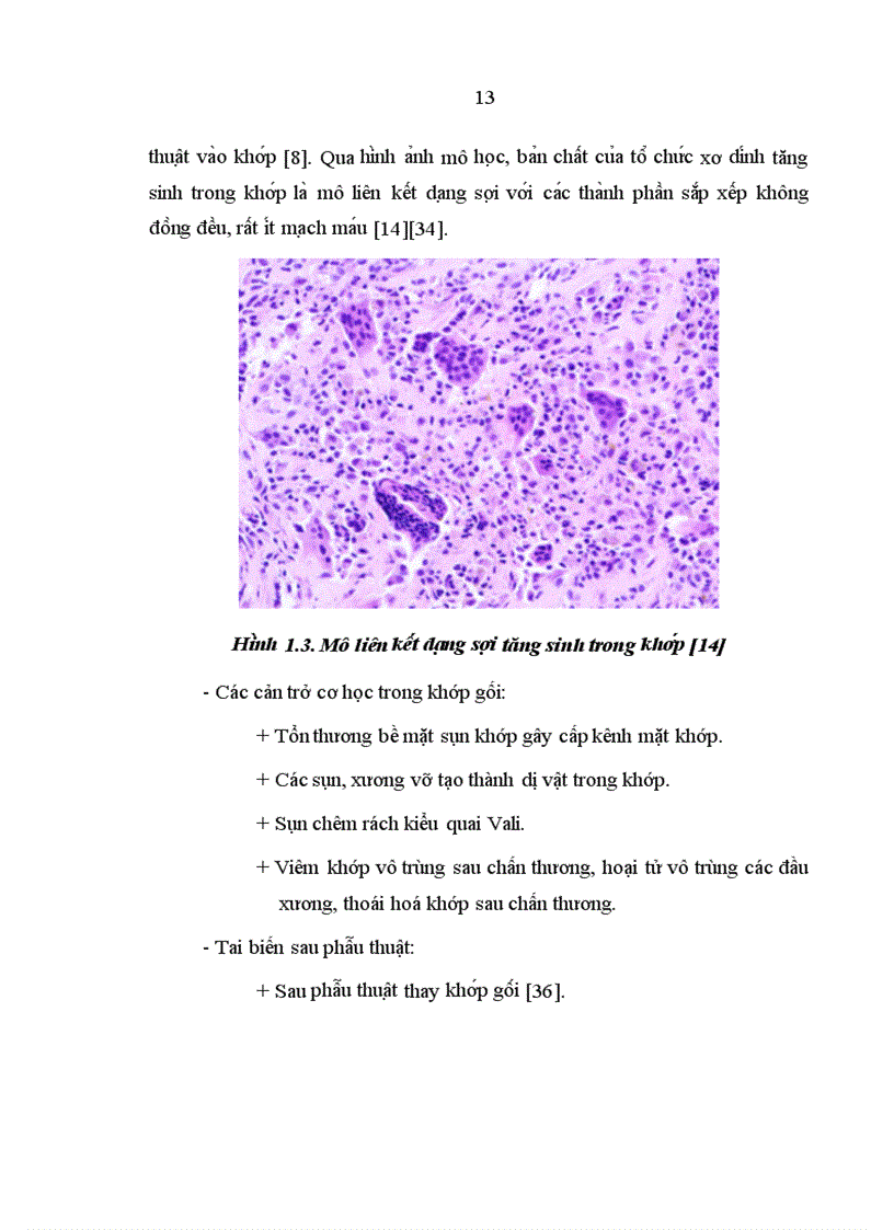 image for page Đánh giá kết quả phẫu thuật nội soi điều trị hạn chế vận động khớp gối sau chấn thương