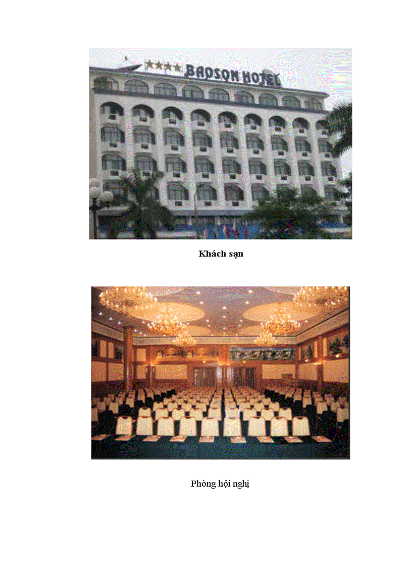 image for page Một số giải pháp nâng cao hiệu quả kinh doanh dịch vụ tại khách sạn Bảo Sơn