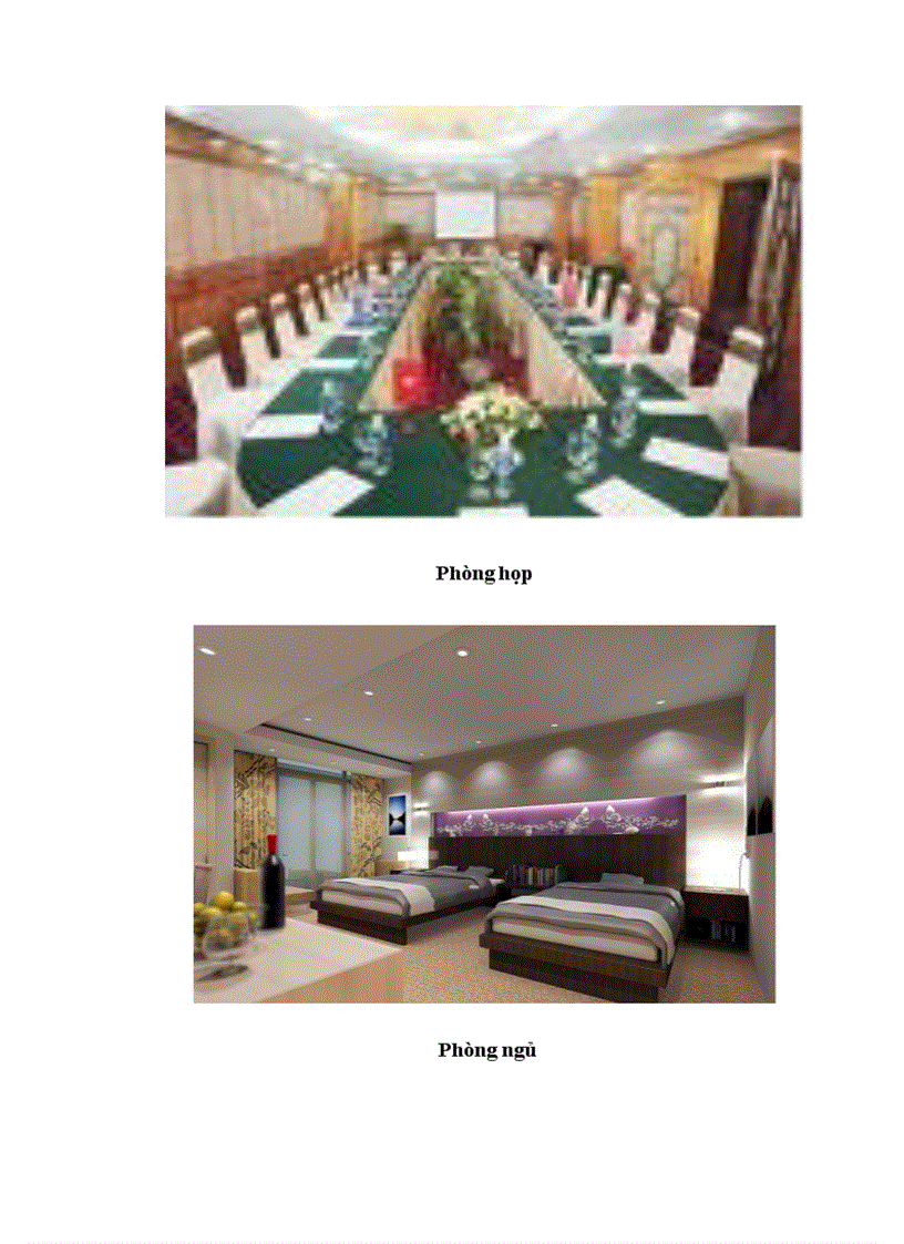 image for page Một số giải pháp nâng cao hiệu quả kinh doanh dịch vụ tại khách sạn Bảo Sơn