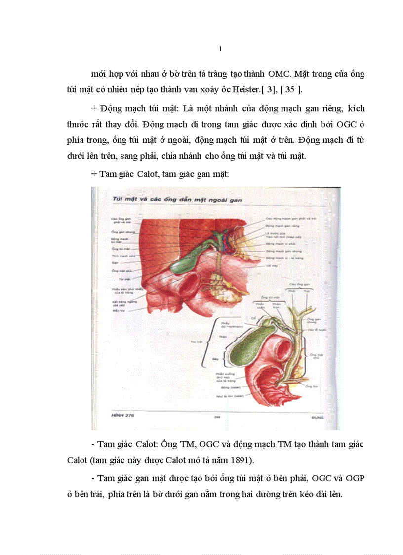 image for page Đánh giá kết quả sớm điều trị phẫu thuật nội soi sỏi đường mật chính tại bệnh viện Việt Đức