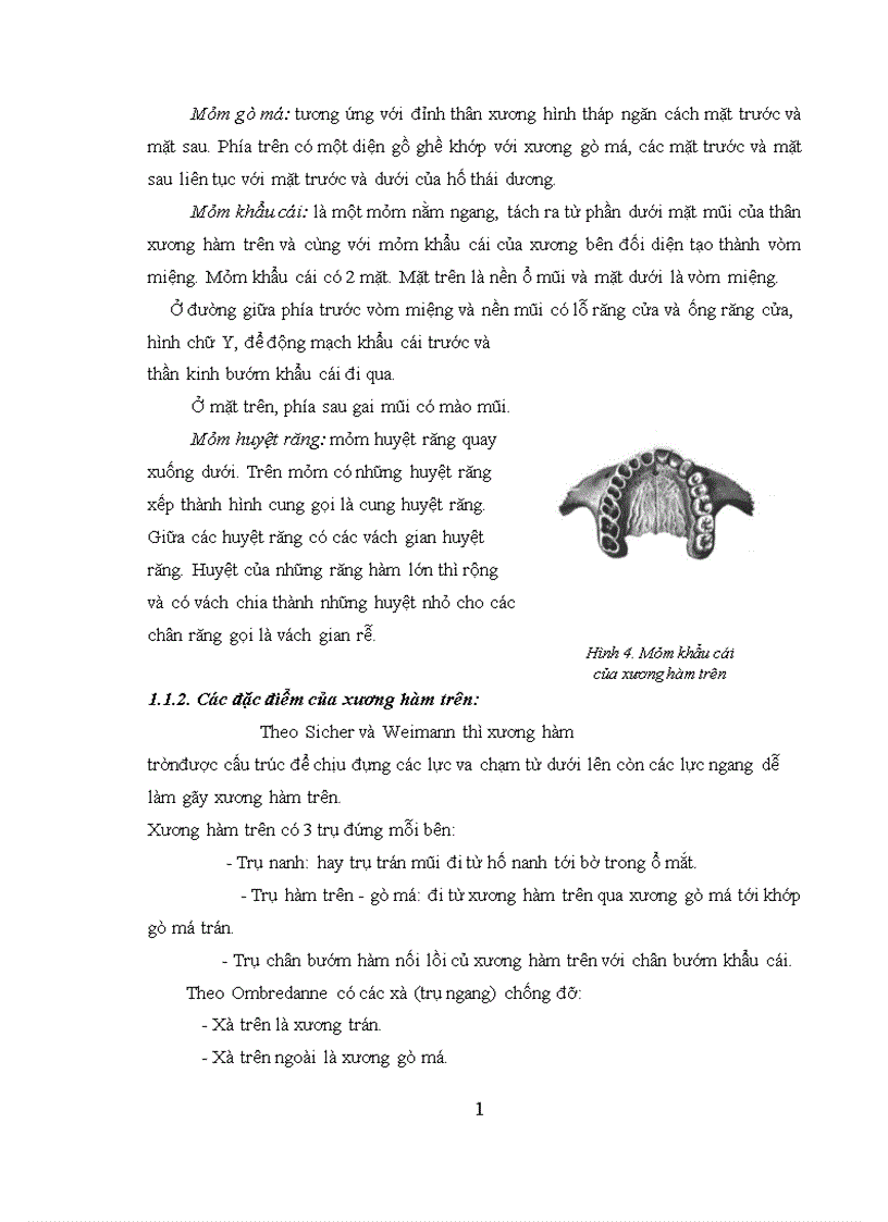 image for page Nhận xét tình trạng vệ sinh răng miệng và đánh giá hiệu quả can thiệp vệ sinh răng miệng cho bệnh nhân gãy xương hàm hở trước phẫu thuật