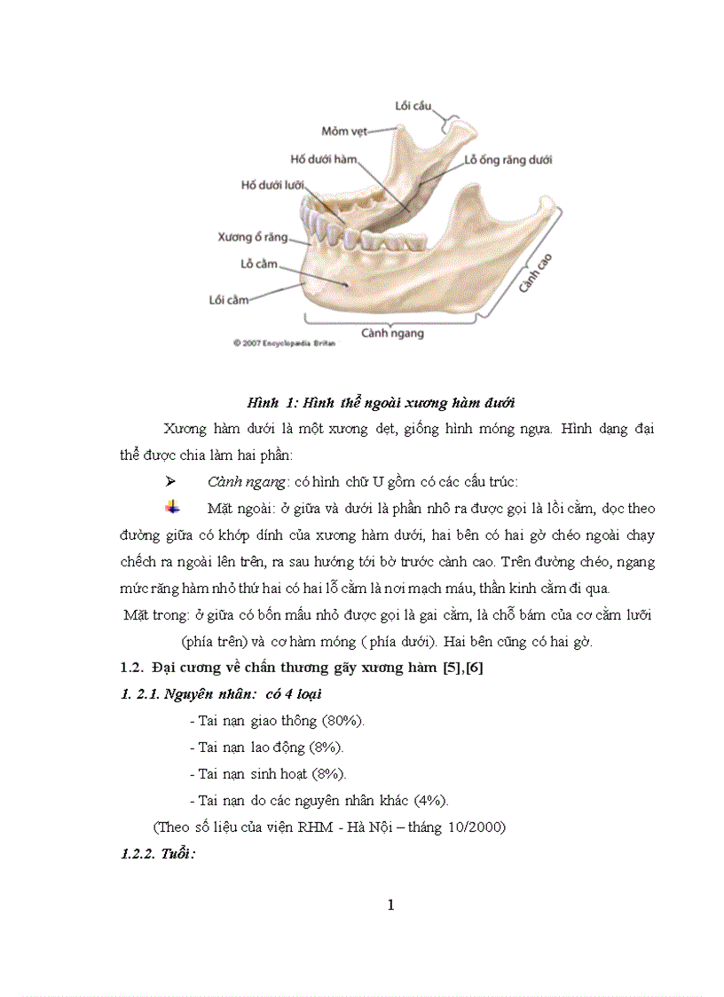 image for page Nhận xét tình trạng vệ sinh răng miệng và đánh giá hiệu quả can thiệp vệ sinh răng miệng cho bệnh nhân gãy xương hàm hở trước phẫu thuật