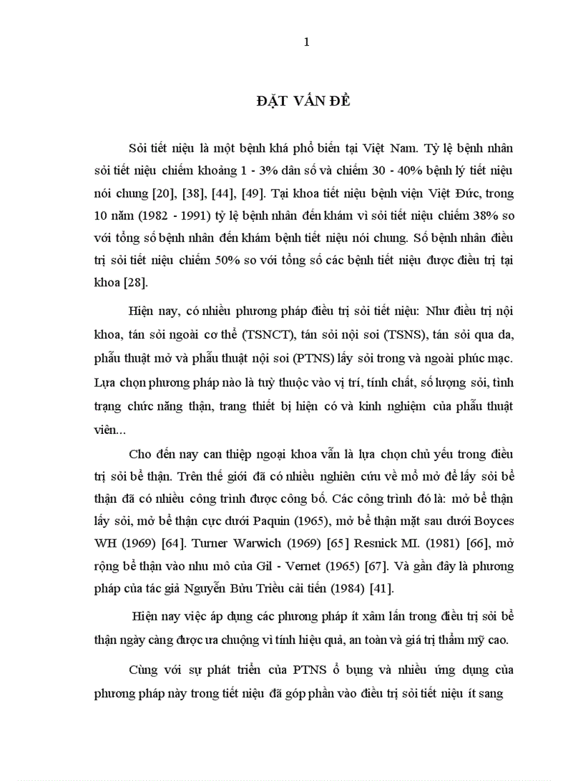 image for page Đánh giá kết quả điều trị sỏi bể thận bằng phẫu thuật nội soi ngoài phúc mạc tại bệnh viện Việt Đức giai đoạn 2006-2010
