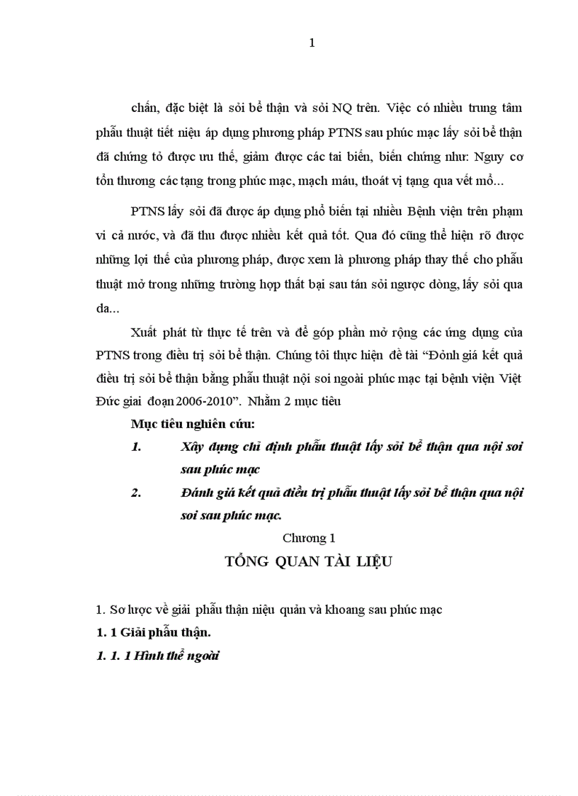 image for page Đánh giá kết quả điều trị sỏi bể thận bằng phẫu thuật nội soi ngoài phúc mạc tại bệnh viện Việt Đức giai đoạn 2006-2010