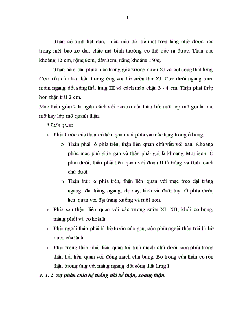 image for page Đánh giá kết quả điều trị sỏi bể thận bằng phẫu thuật nội soi ngoài phúc mạc tại bệnh viện Việt Đức giai đoạn 2006-2010