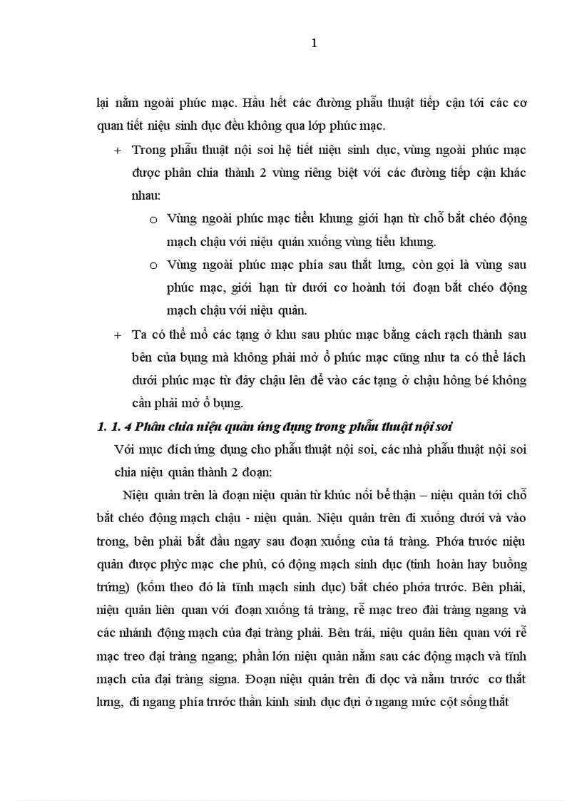 image for page Đánh giá kết quả điều trị sỏi bể thận bằng phẫu thuật nội soi ngoài phúc mạc tại bệnh viện Việt Đức giai đoạn 2006-2010