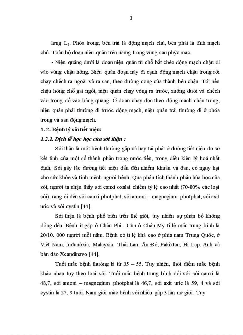 image for page Đánh giá kết quả điều trị sỏi bể thận bằng phẫu thuật nội soi ngoài phúc mạc tại bệnh viện Việt Đức giai đoạn 2006-2010
