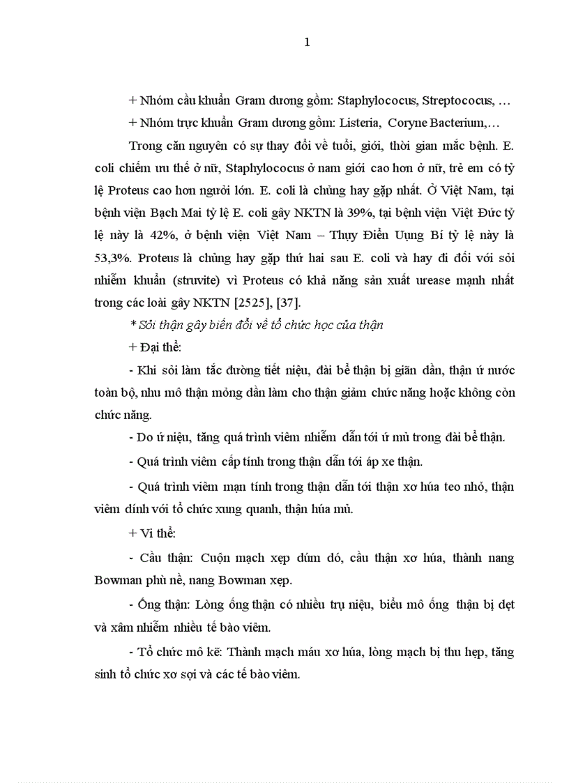 image for page Đánh giá kết quả điều trị sỏi bể thận bằng phẫu thuật nội soi ngoài phúc mạc tại bệnh viện Việt Đức giai đoạn 2006-2010
