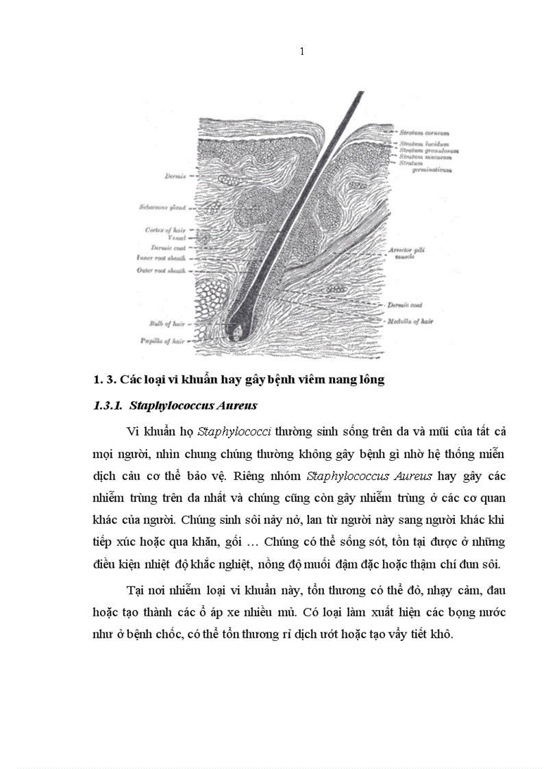 image for page Điều trị bệnh viêm nang lông dựa vào kháng sinh đồ