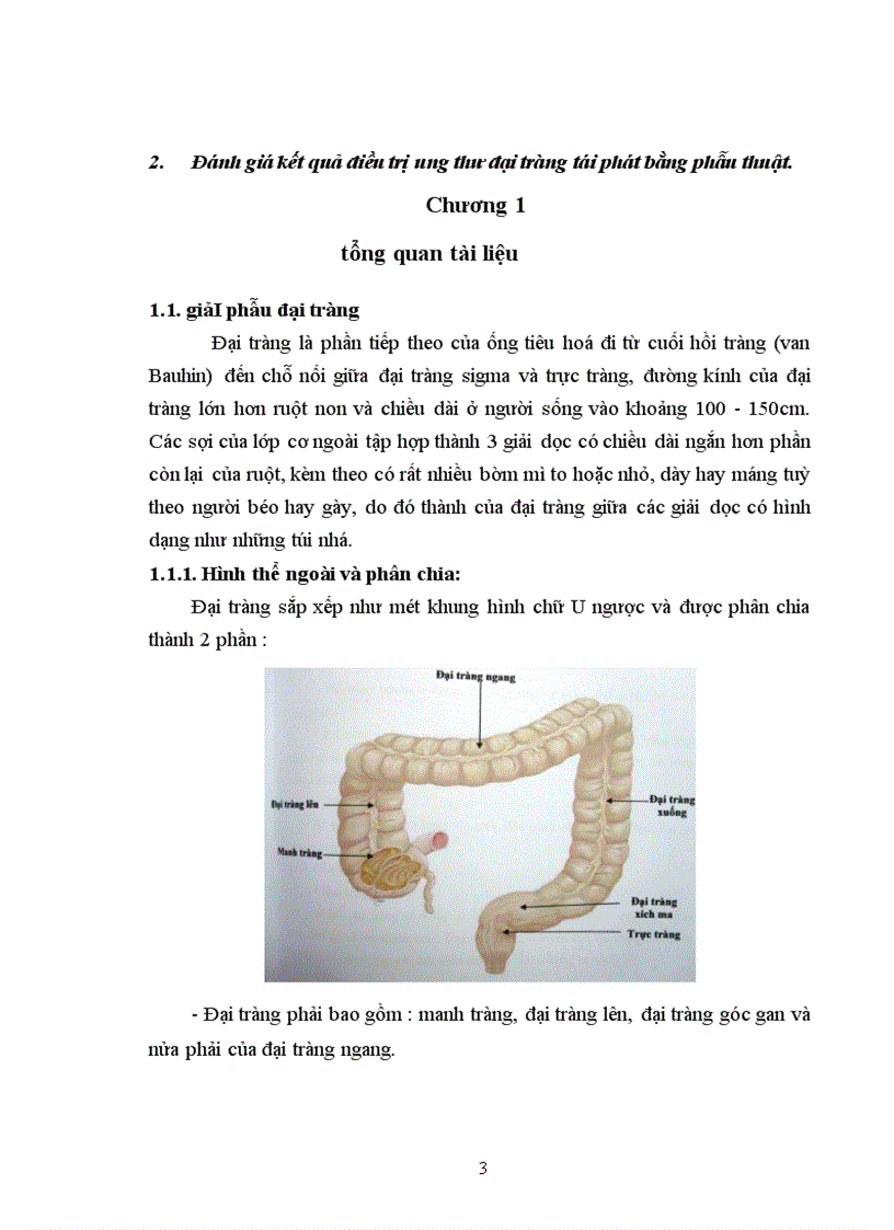 image for page Nghiên cứu kết quả điều trị phẫu thuật ung thư đại tràng tái phát sau mổ tại bệnh viện Việt Đức