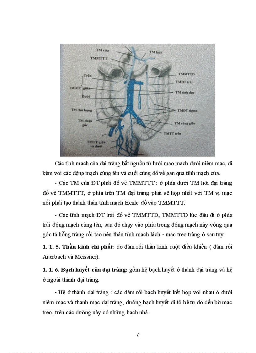 image for page Nghiên cứu kết quả điều trị phẫu thuật ung thư đại tràng tái phát sau mổ tại bệnh viện Việt Đức
