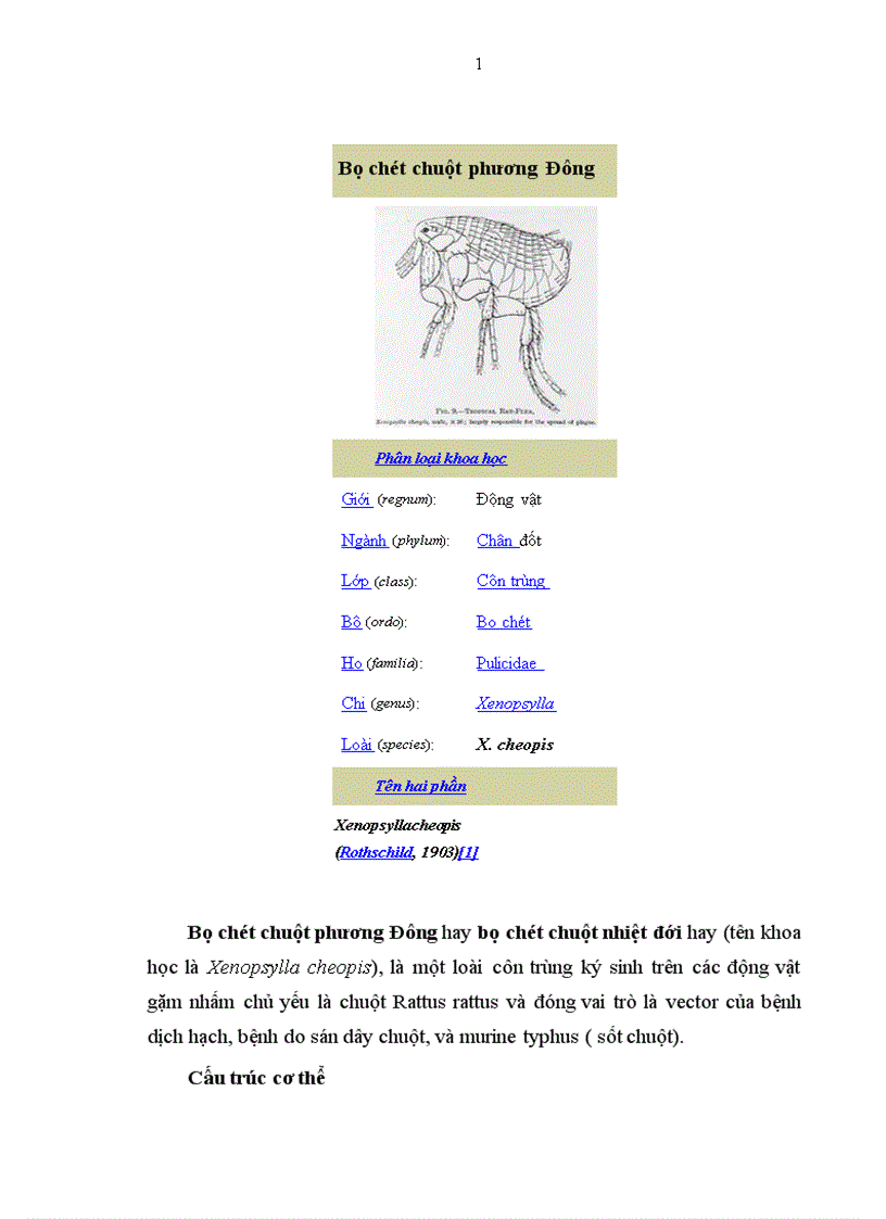 image for page Nghiên cứu một số yếu tố dịch tễ, đặc điểm lâm sàng, biến đổi cận lâm sàng và kết quả điều trị bệnh murine typhus ( sốt chuột) tại bệnh viện Bạch Mai từ tháng 3 năm 2001 đến hết tháng 2 năm 2002