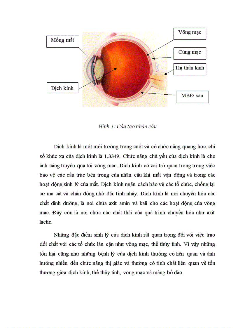 image for page Đánh giá kết quả phẫu thuật cắt dịch kính điều trị một số hình thái xuất huyết dịch kính nội sinh