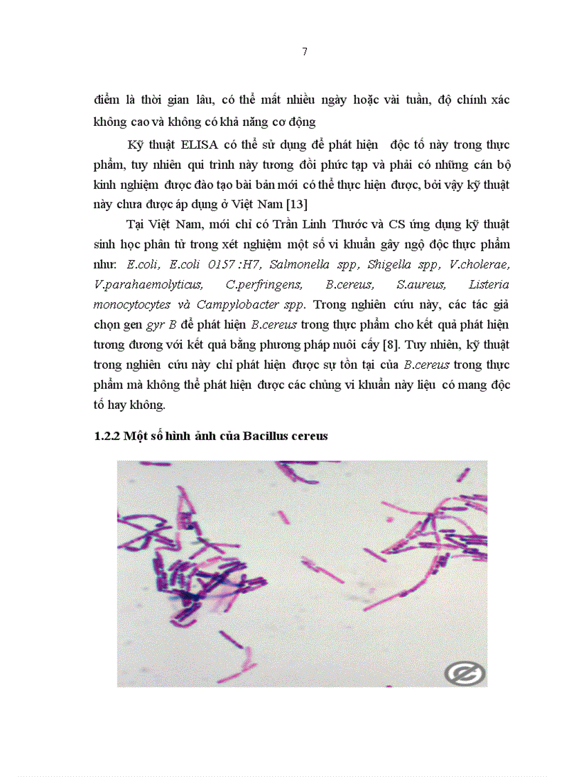 image for page Nghiên cứu xây dựng quy trình phát hiện gen độc tố của B. cereus trong thực phẩm bằng kỹ thuật multiplex PCR