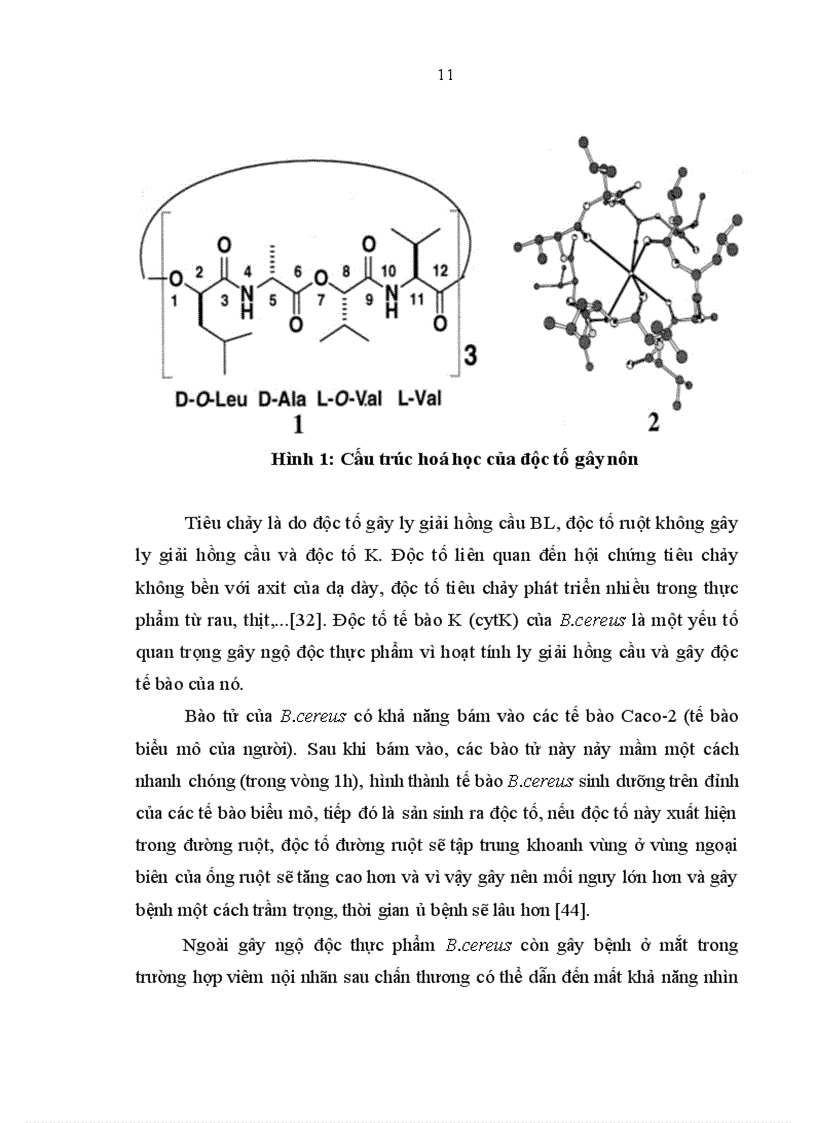 image for page Nghiên cứu xây dựng quy trình phát hiện gen độc tố của B. cereus trong thực phẩm bằng kỹ thuật multiplex PCR