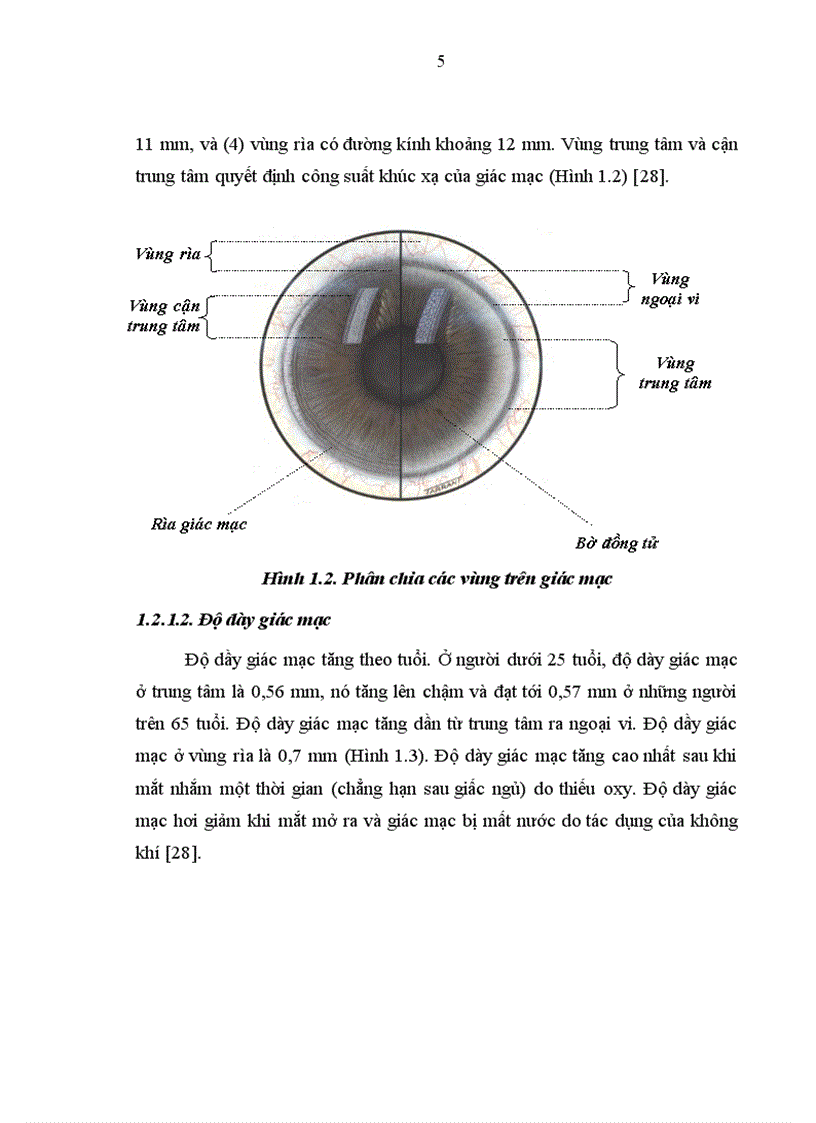 image for page Nghiên cứu sự thay đổi thị lực và khúc xạ sau phẫu thuật Lasik và một số yếu tố liên quan