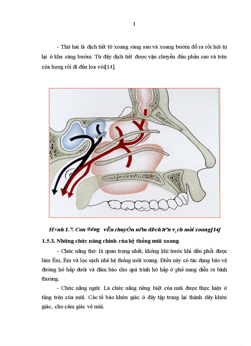 image for page Nghiên cứu đặc điểm lâm sàng, cận lâm sàng của viêm xoang nhiễm khuẩn ở trẻ em.