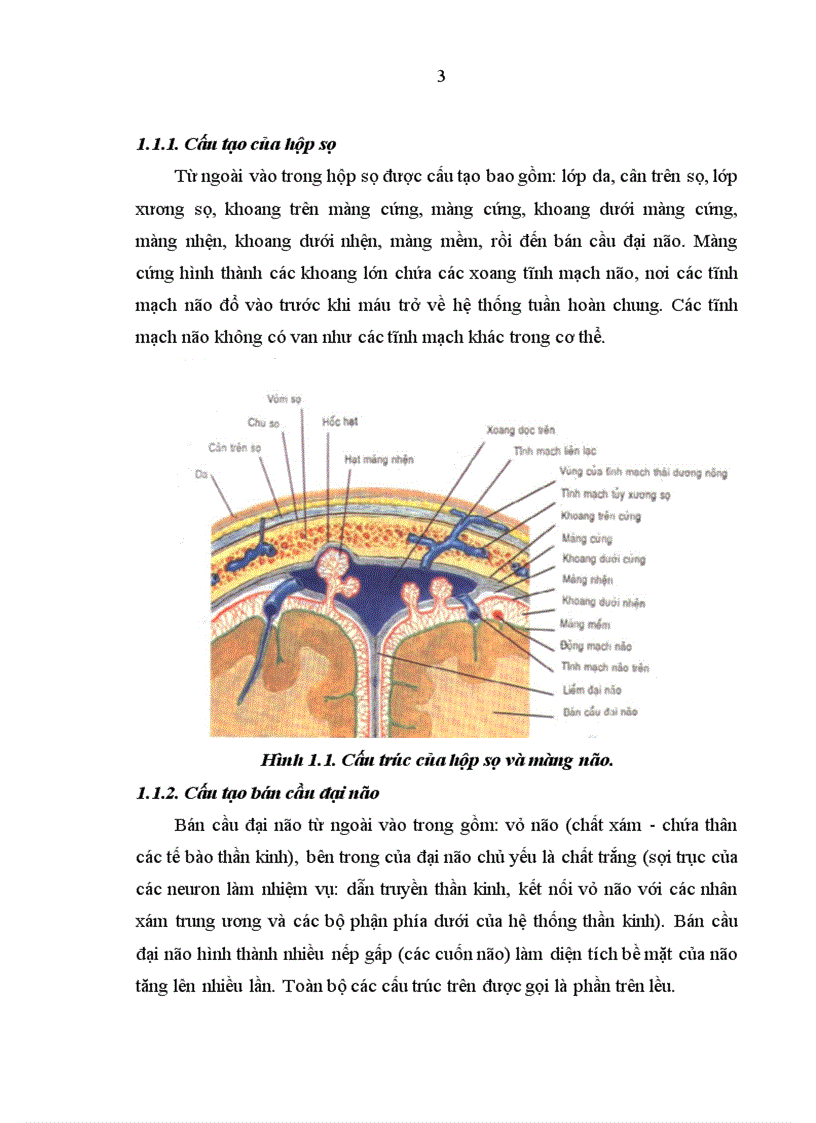 image for page Nhận xét về kết quả điều trị áp xe não tại Bệnh viện Nhi Trung Ương từ năm 2004 - 2009.