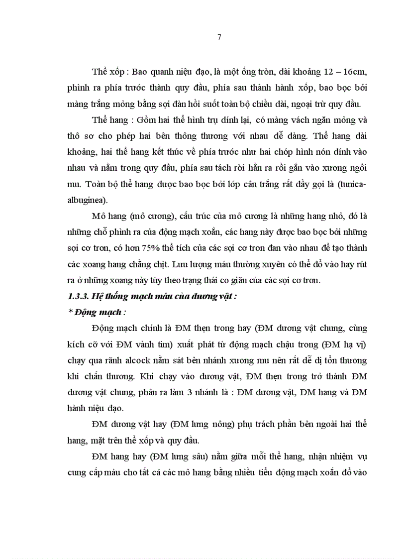 image for page Nghiên cứu tình trạng rối loạn cương dương ở bệnh nhân đái tháo đường type 2 ngoại trú tại bệnh viện Bạch Mai