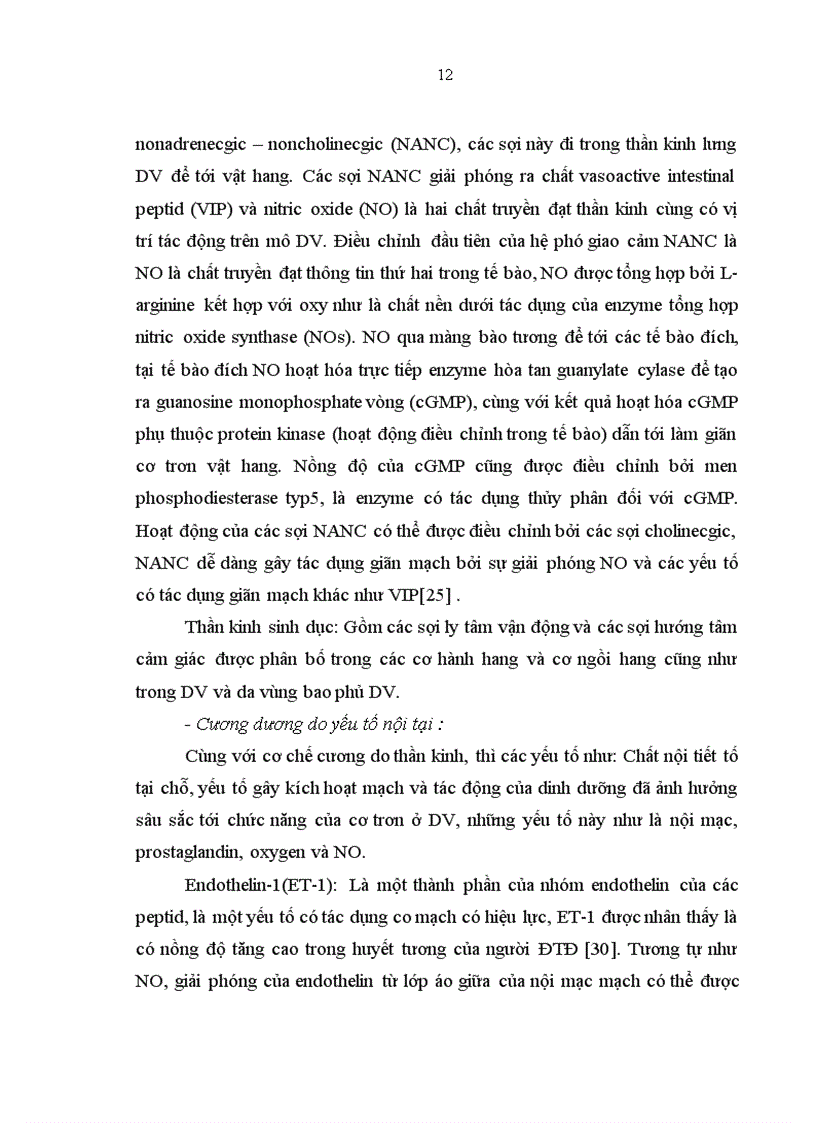 image for page Nghiên cứu tình trạng rối loạn cương dương ở bệnh nhân đái tháo đường type 2 ngoại trú tại bệnh viện Bạch Mai