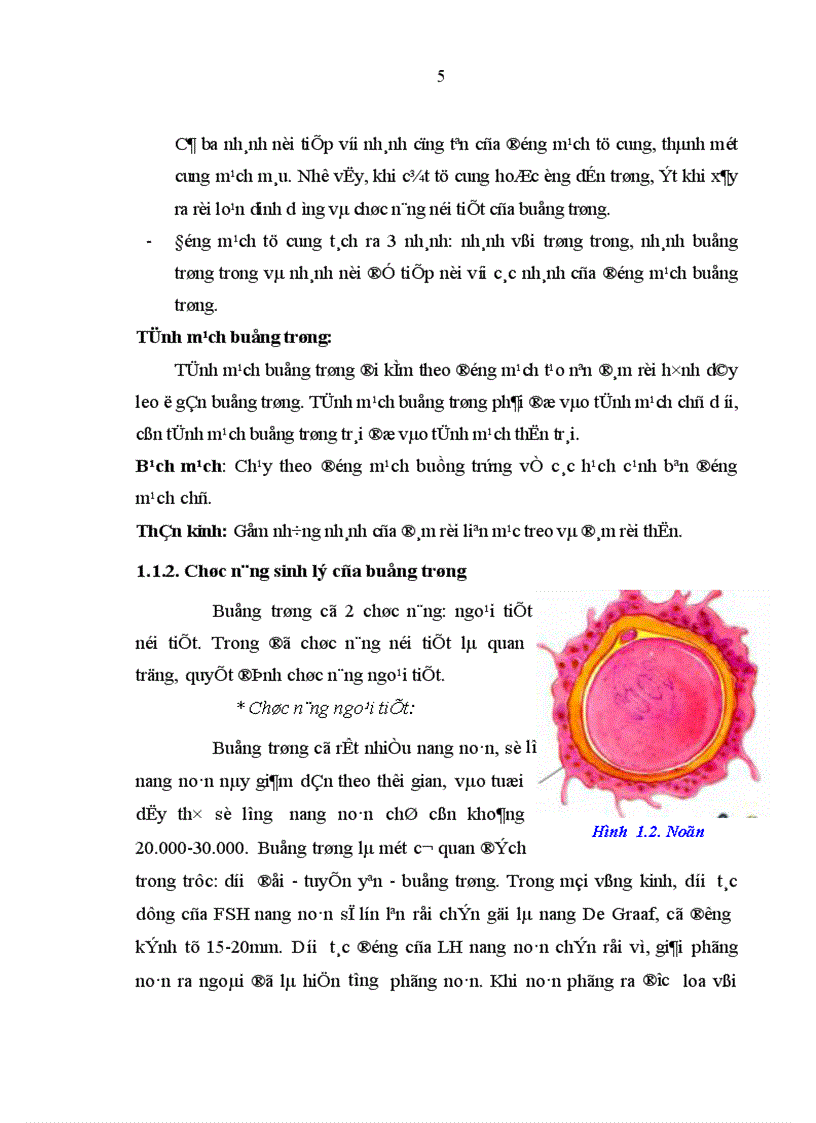 image for page Đánh giá tình hình điều trị khối u buồng trứng tại Bệnh viện Trung ương Huế năm 2001
