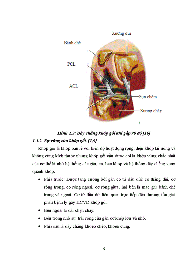 image for page Đánh giá kết quả phẫu thuật cứng gối tư thế duỗi sau chấn thương tại bệnh viện Việt Đức