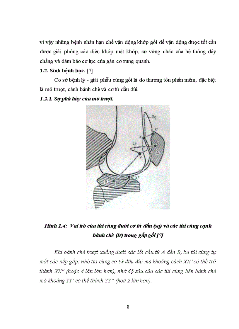 image for page Đánh giá kết quả phẫu thuật cứng gối tư thế duỗi sau chấn thương tại bệnh viện Việt Đức