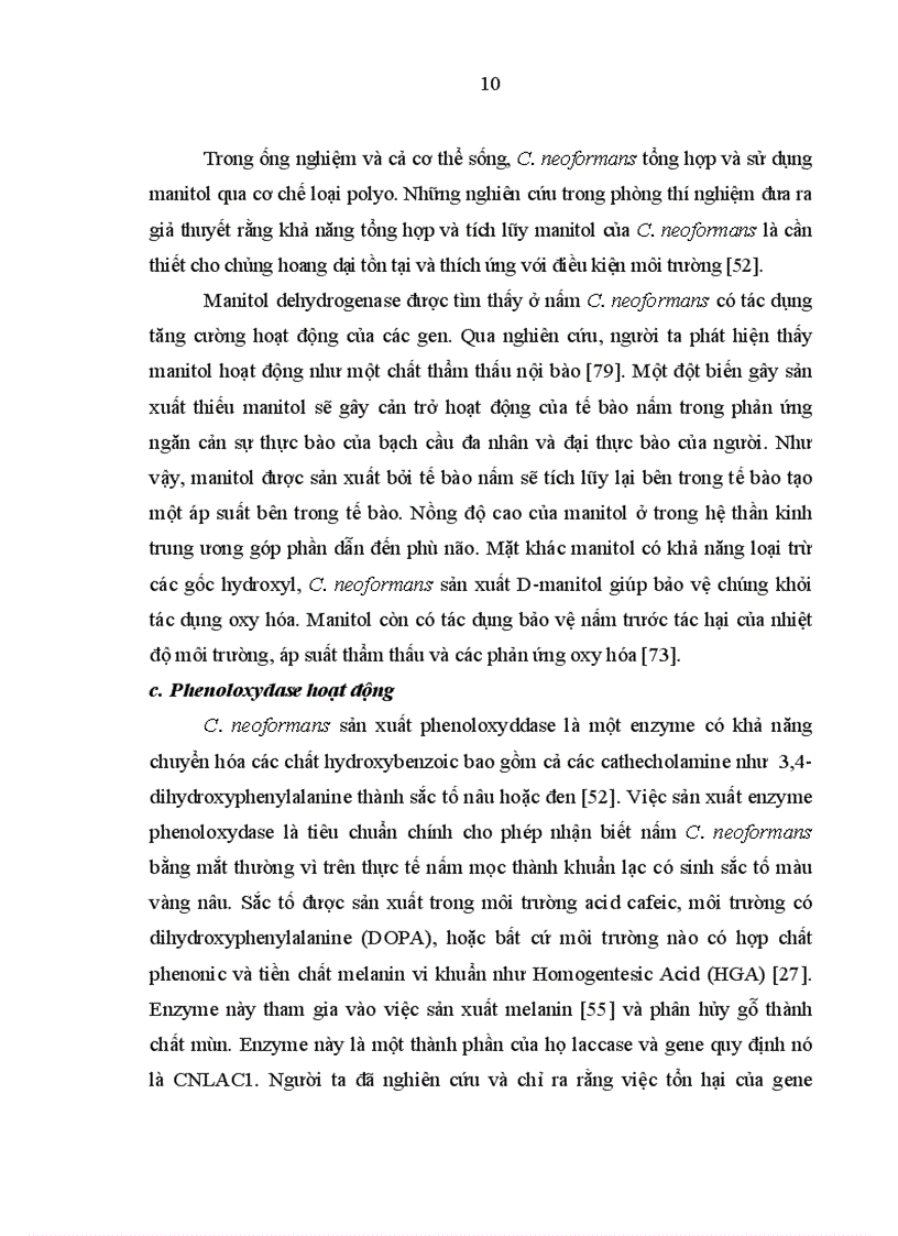 image for page Đánh giá kết quả điều trị viêm màng não do nấm Cryptococcus neoformans ở bệnh nhân HIV/AIDS.