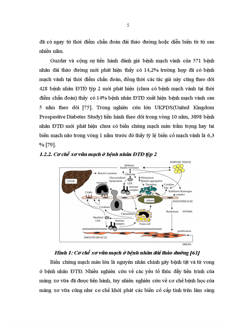 image for page Nghiên cứu vai trò của thang điểm Framingham trong đánh giá nguy cơ bệnh mạch vành ở bệnh nhân đái tháo đường týp 2