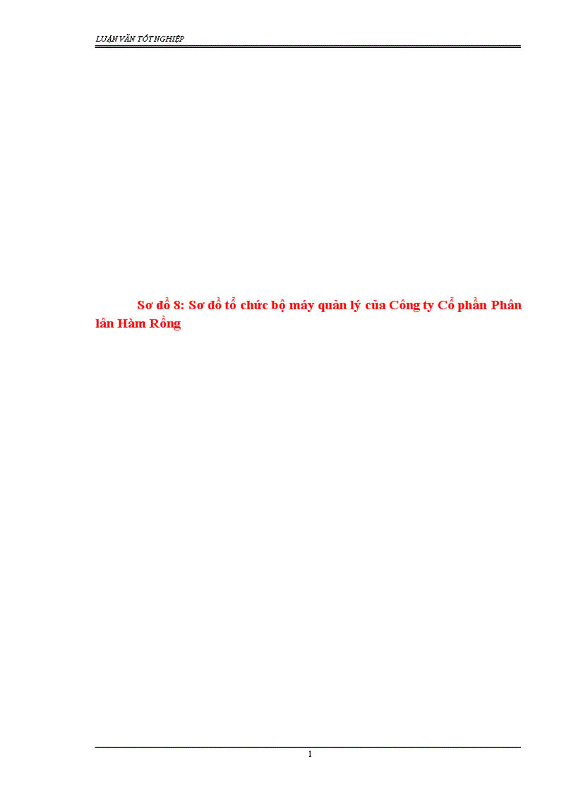 image for page Phân tích thực trạng bộ máy quản lý của Công ty Cổ phần Phân lân Hàm Rồng.