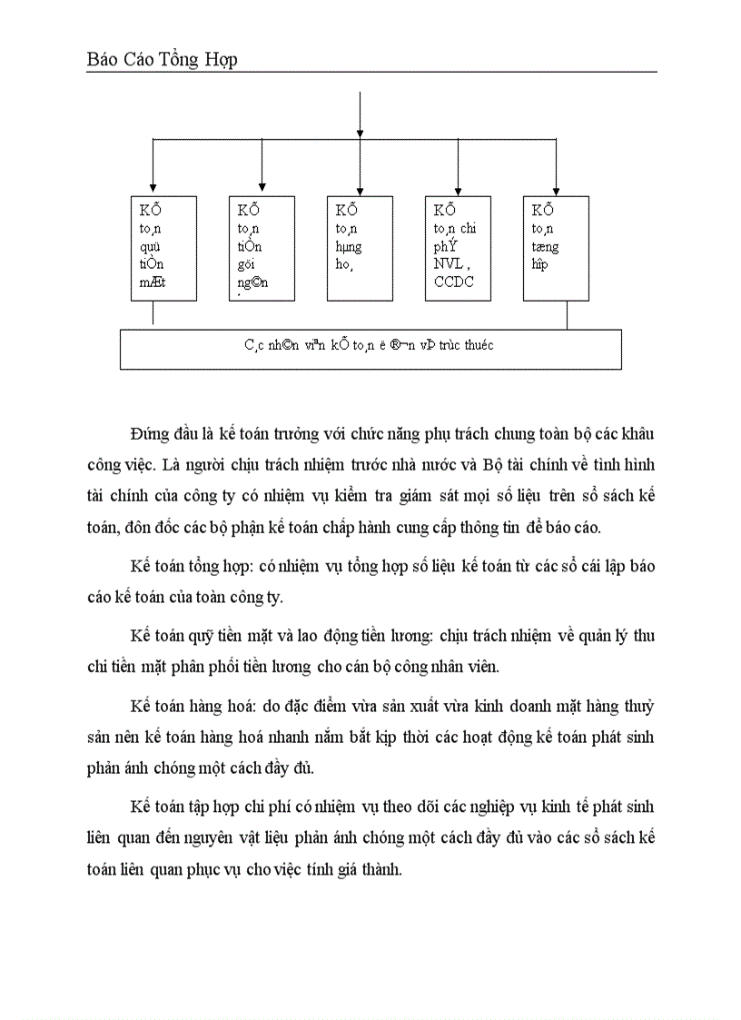 image for page Công tác hạch toán kế toán tại Công ty dịch vụ nuôi trồng thuỷ sản Trung Ương .