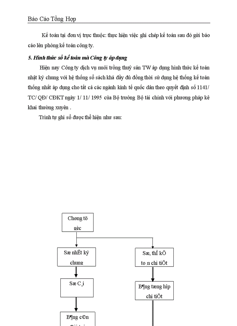 image for page Công tác hạch toán kế toán tại Công ty dịch vụ nuôi trồng thuỷ sản Trung Ương .