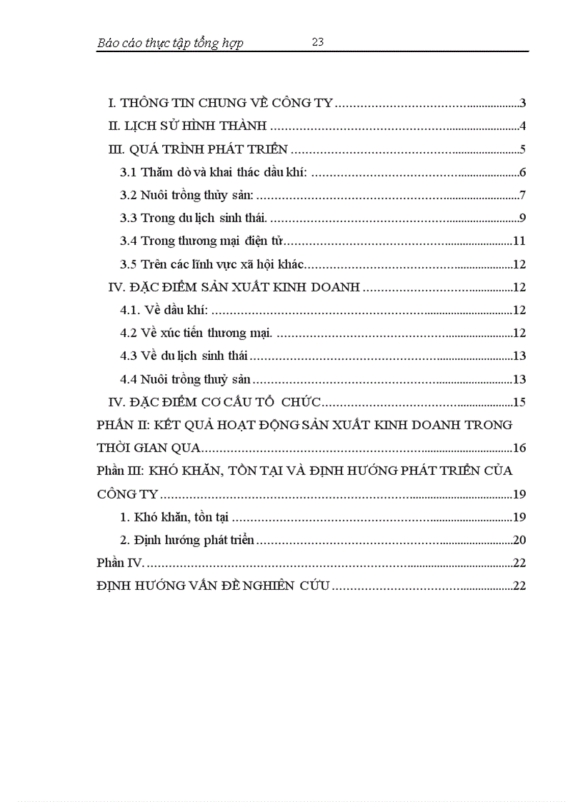 image for page Hoạt động của công ty trách nhiệm hữu hạn công nghệ Việt Mỹ