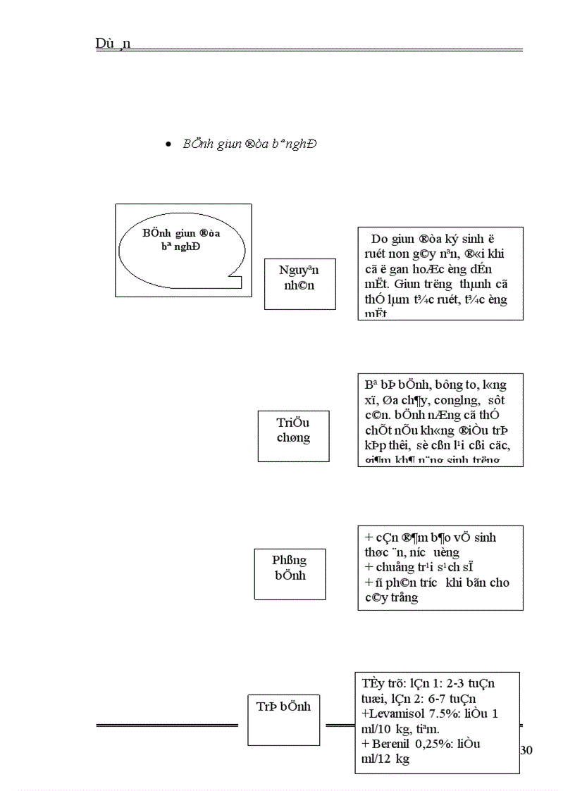 image for page Dự án Chăn Nuôi Bò Thịt