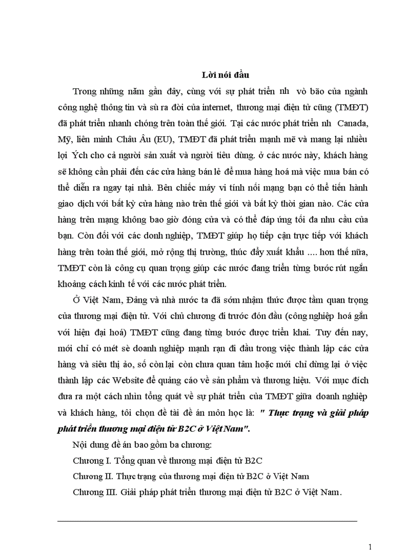 image for page Thực trạng của thương mại điện tử B2C ở Việt Nam